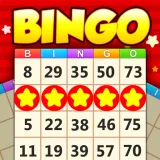 Bingo Holiday Play Offline icon