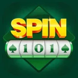 Spin 101 icon