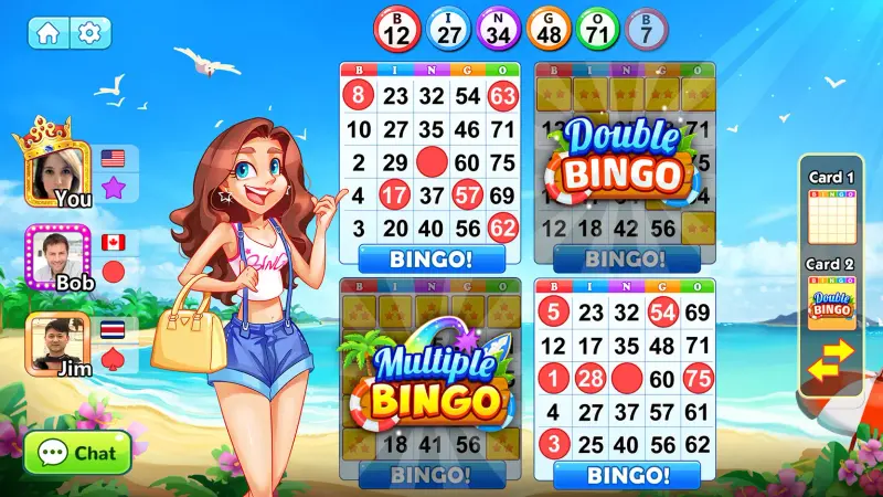 Bingo Holiday Play Offline screenshot 1