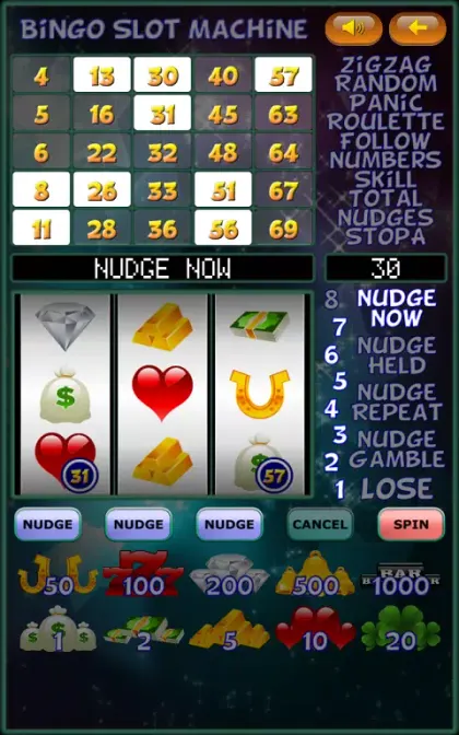 Bingo Slot Machine. screenshot 1