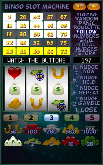 Bingo Slot Machine. screenshot 3