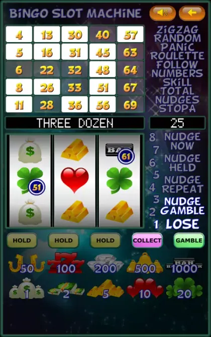 Bingo Slot Machine. screenshot 4